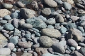 Lizard Penninsula